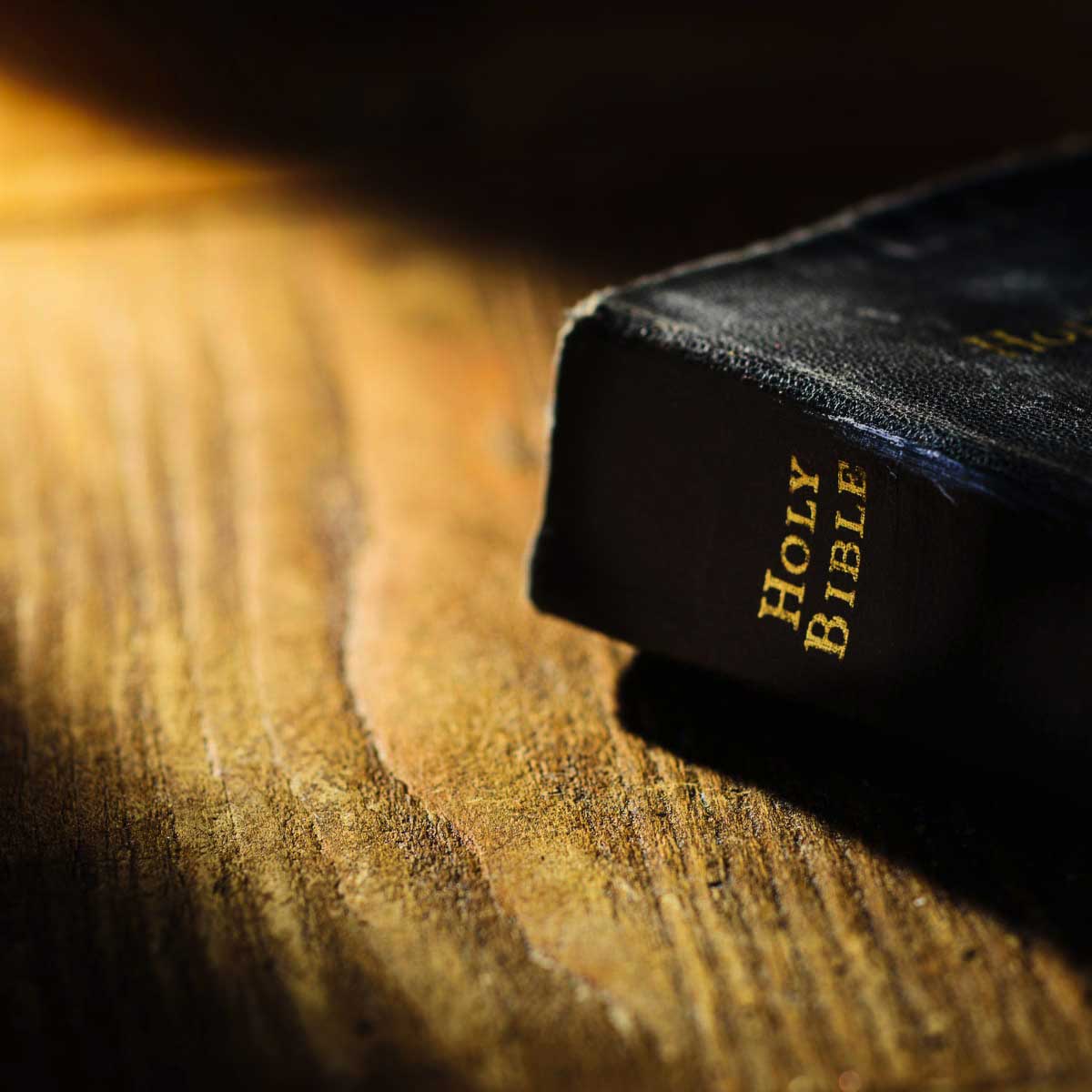 Bible Background Image